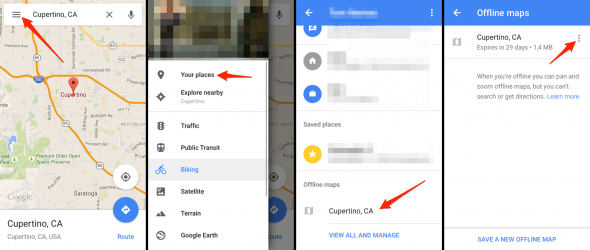 access or delete google maps offline