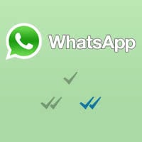 whatsapp check marks stay grey