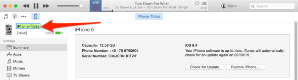 renaming an iPhone in iTunes