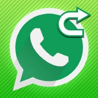 How to Forward a WhatsApp Message