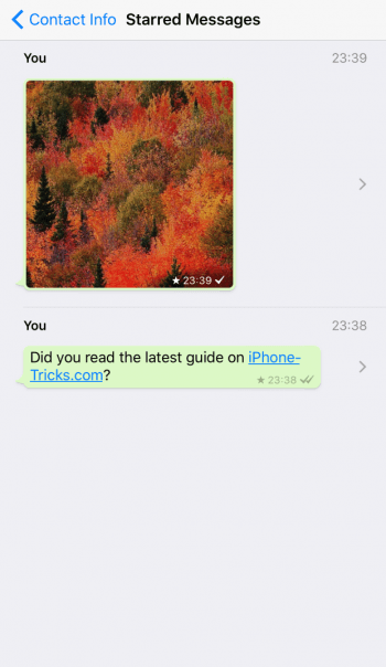 contact info starred messages in WhatsApp