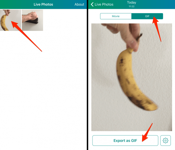 how to export a live photo as a gif