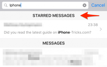 starred messages in search