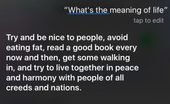 Siri and the meaning of life