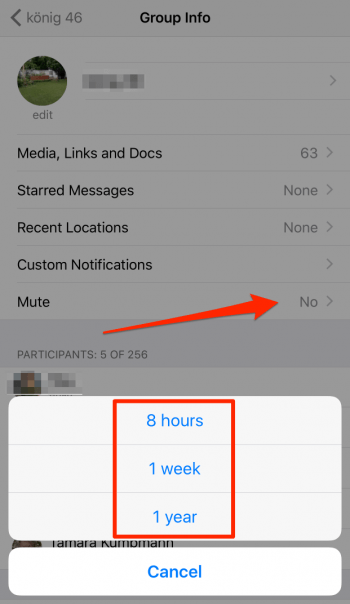 WhatsApp group chat mute