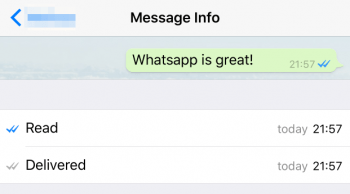 WhatsApp message info