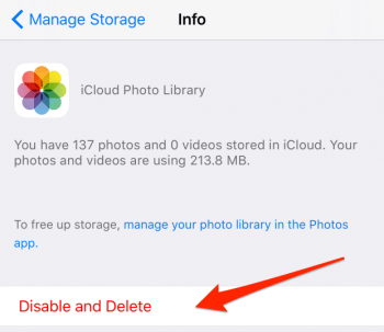 how to delete iCloud photo library