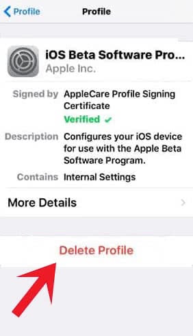 delete-ios-beta-2