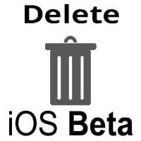 delete-ios-beta-icon