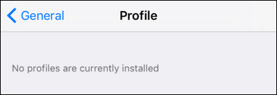 delete-ios-beta-profile-3