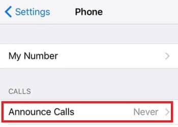 Announce calls что такое iphone