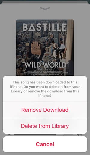 Two options to remove a song from Music app