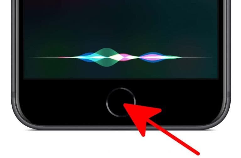 How To Turn On Siri On iPhone (All Models)