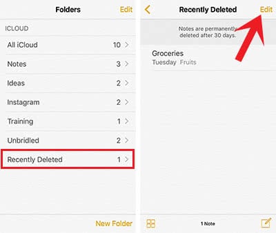 Screenshots show how to recover deleted Notes files