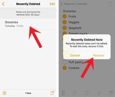 Screenshots show how to recover a single Notes file