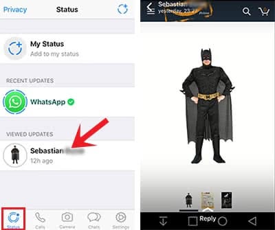 View the new WhatsApp status of your contacts