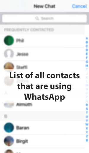 All WhatsApp contacts in a list