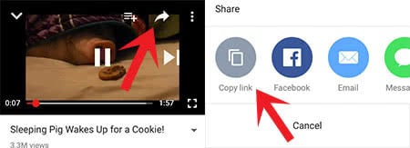 Screenshots show how to copy the link of the YouTube video