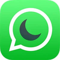 Using Night Mode With WhatsApp Camera