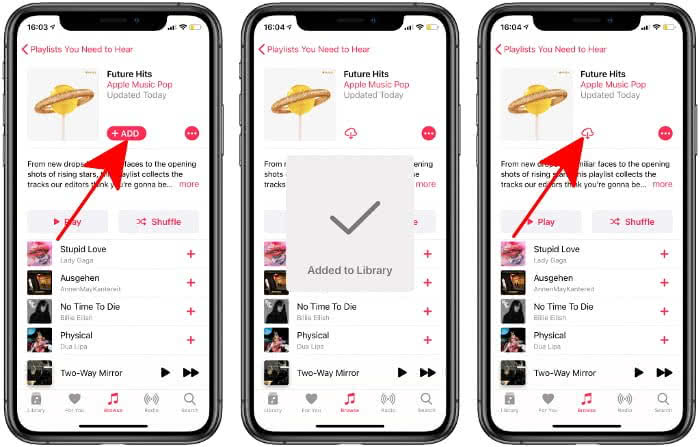 Download Playlist in Apple Music