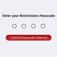 ibackupbot restrictions passcode