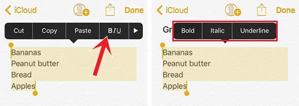 Change the format of text in Notes app