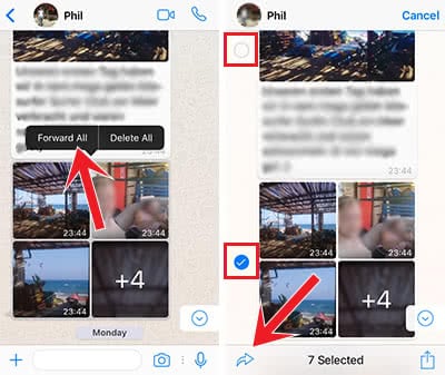 Forward photo albums in WhatsApp