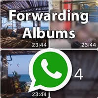 How To Forward Albums In WhatsApp