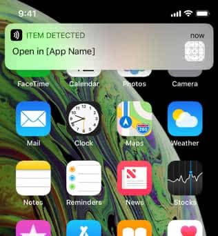 Open scanned item in NFC reader app on iPhone
