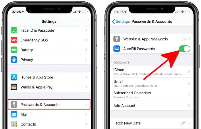 Enable "AutoFill Passwords" on iPhone